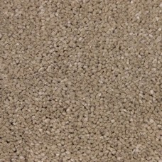 Ковровое покрытие Filoteks DISCOVERY 70 Ковровое покрытие Filoteks DISCOVERY 70